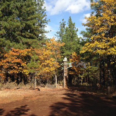 White Eagle Memorial Preserve. Photographs by Jodie Buller.